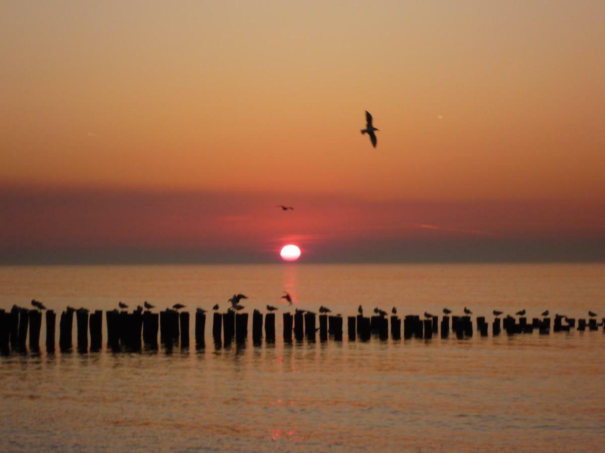 Knusse Vakantiewoning Domburg Do04 מראה חיצוני תמונה